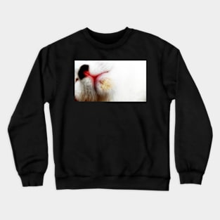 A White Cat Crewneck Sweatshirt